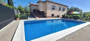 The Dream Holiday House, Belicena